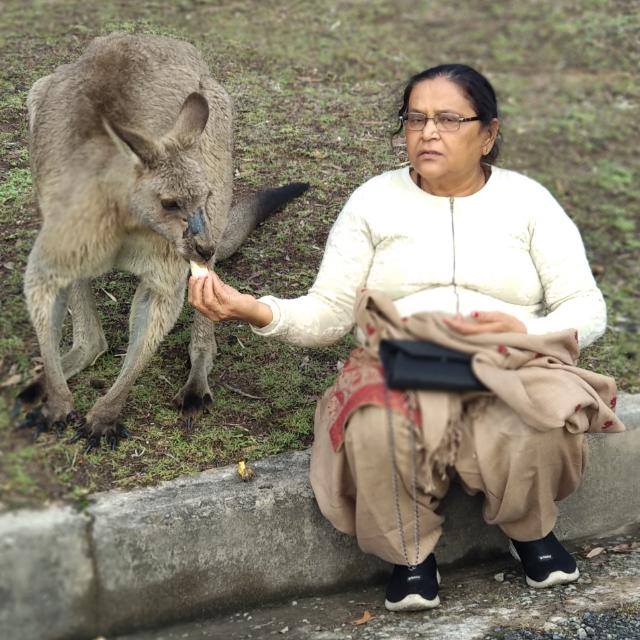 2. Shanti Pandey